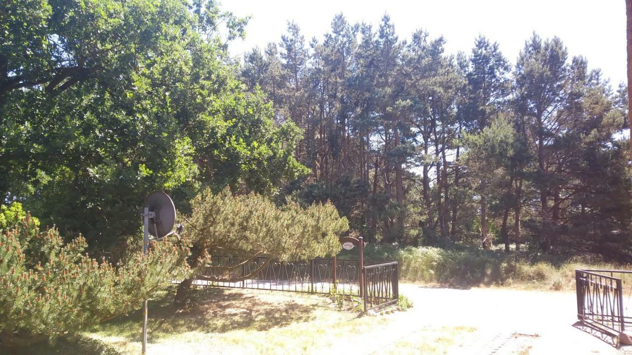 Urlaub Bei Hauenstein Apartment Born Ngoại thất bức ảnh